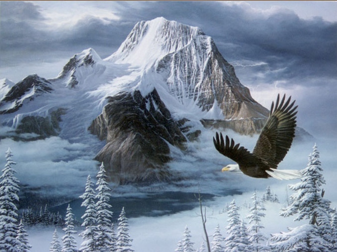 (image for) Handmade oil painting Copy paintings of famous artists Fred Buchwitz's Silent Wings